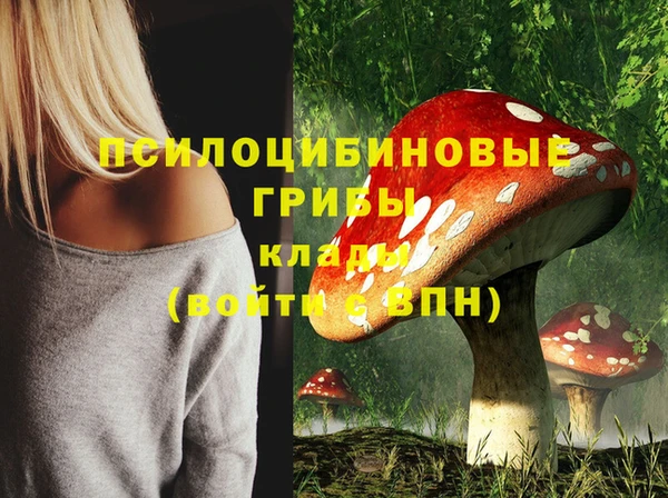 марки nbome Арсеньев