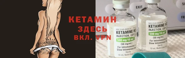хмурый Аркадак