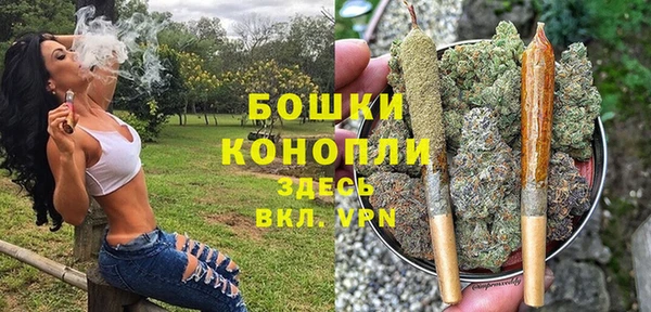 хмурый Аркадак