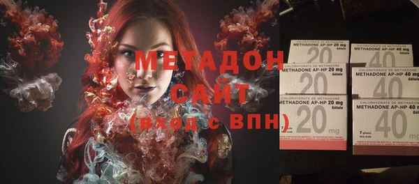 хмурый Аркадак