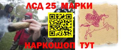 mdma Гатчина