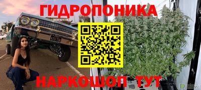 mdma Гатчина