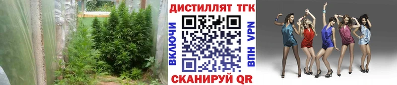 ТГК THC oil  что такое наркотик  Борзя 