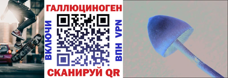Галлюциногенные грибы Psilocybe  Борзя 
