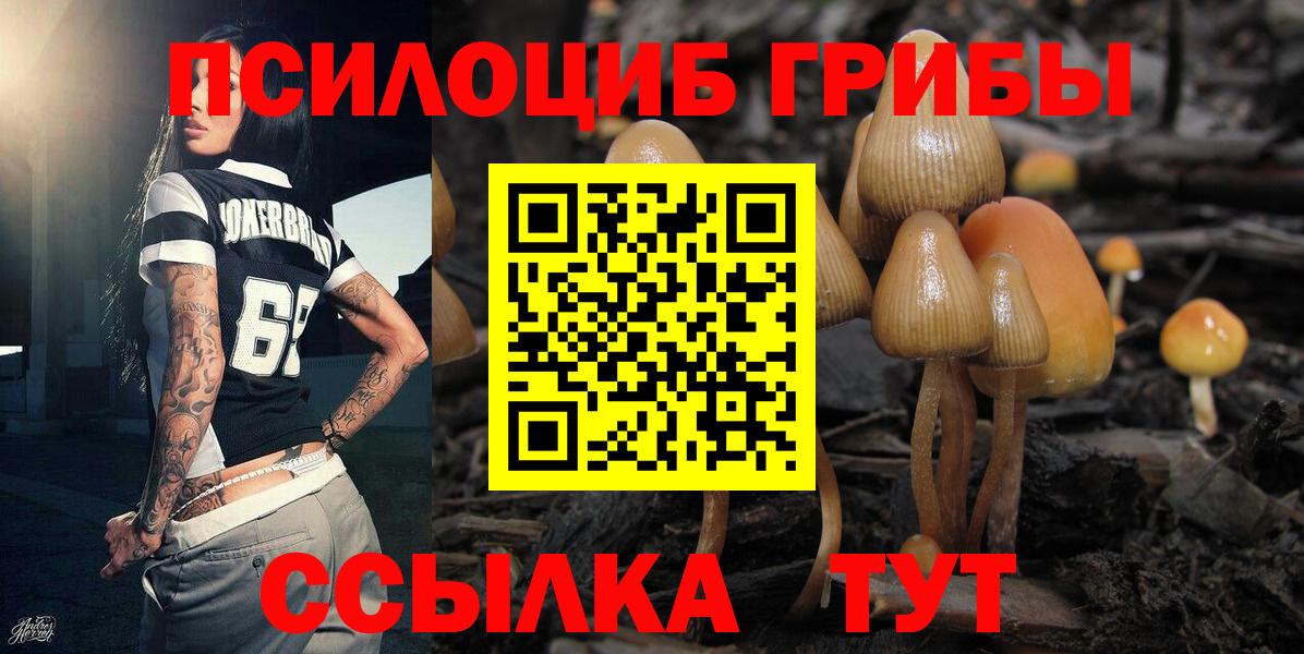 Борзя  Псилоцибиновые грибы Cubensis  Вход с VPN  Галлюциногенные грибы MAGIC MUSHROOMS 