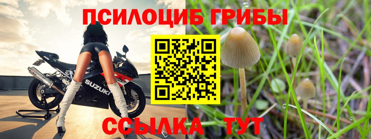 Псилоцибиновые грибы GOLDEN TEACHER Борзя