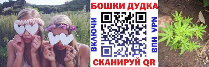 купить наркотики цена  Борзя  Бошки марихуана ГИДРОПОН 
